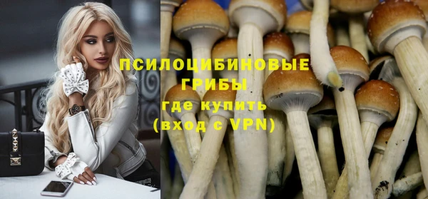 бошки Абинск