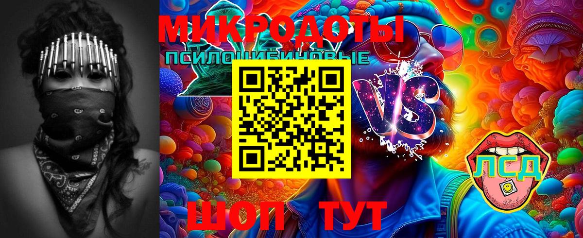 Советск  Псилоцибиновые грибы Cubensis  Вход с VPN 